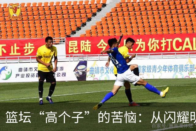 篮坛“高个子”的苦恼：从闪耀明星到被遗忘的角落